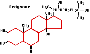 альт