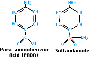 Buy biaxin have sulfa in it