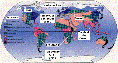 north american taiga maps