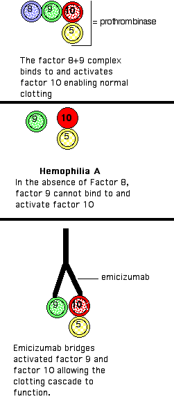 emicizumab