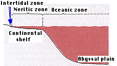 intertidal zone map